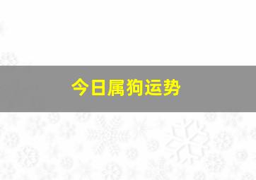 今日属狗运势