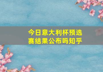 今日意大利杯预选赛结果公布吗知乎