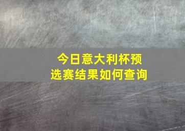 今日意大利杯预选赛结果如何查询