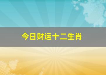 今日财运十二生肖