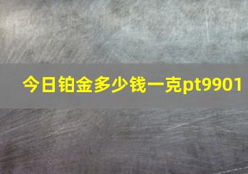 今日铂金多少钱一克pt9901