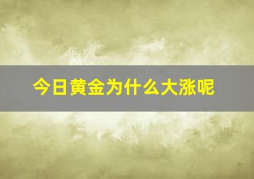 今日黄金为什么大涨呢