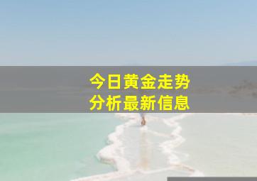 今日黄金走势分析最新信息