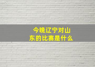 今晚辽宁对山东的比赛是什么