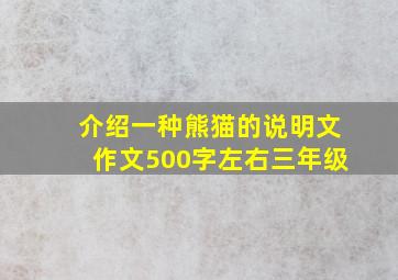 介绍一种熊猫的说明文作文500字左右三年级