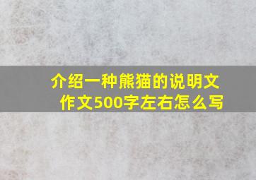 介绍一种熊猫的说明文作文500字左右怎么写