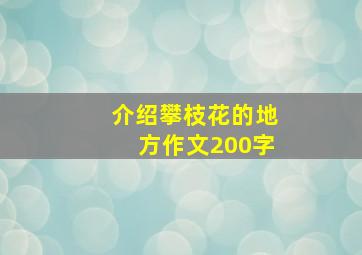 介绍攀枝花的地方作文200字