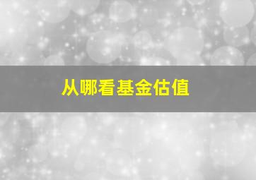 从哪看基金估值