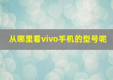 从哪里看vivo手机的型号呢