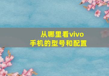 从哪里看vivo手机的型号和配置