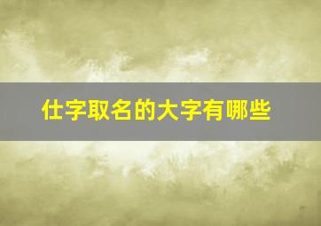 仕字取名的大字有哪些