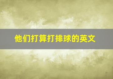 他们打算打排球的英文