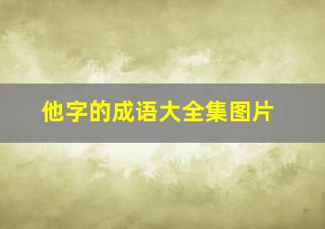 他字的成语大全集图片