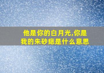 他是你的白月光,你是我的朱砂痣是什么意思