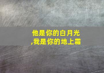 他是你的白月光,我是你的地上霜