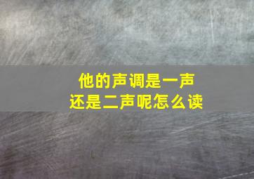 他的声调是一声还是二声呢怎么读