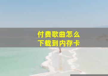 付费歌曲怎么下载到内存卡