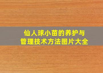 仙人球小苗的养护与管理技术方法图片大全