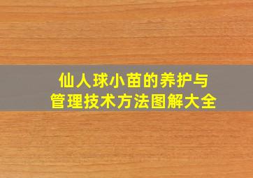 仙人球小苗的养护与管理技术方法图解大全