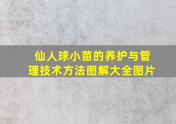 仙人球小苗的养护与管理技术方法图解大全图片