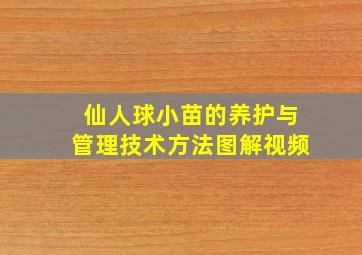 仙人球小苗的养护与管理技术方法图解视频