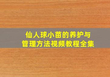 仙人球小苗的养护与管理方法视频教程全集