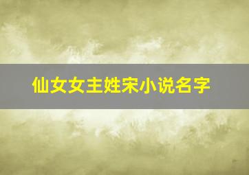 仙女女主姓宋小说名字