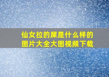 仙女拉的屎是什么样的图片大全大图视频下载