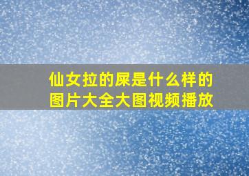 仙女拉的屎是什么样的图片大全大图视频播放