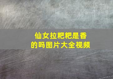 仙女拉粑粑是香的吗图片大全视频