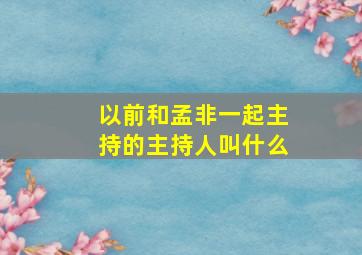 以前和孟非一起主持的主持人叫什么