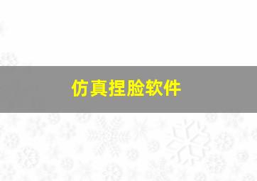 仿真捏脸软件