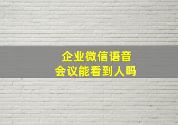 企业微信语音会议能看到人吗