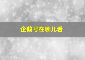 企鹅号在哪儿看