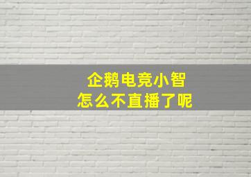 企鹅电竞小智怎么不直播了呢