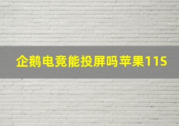 企鹅电竞能投屏吗苹果11S