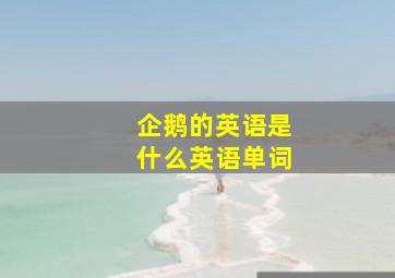 企鹅的英语是什么英语单词