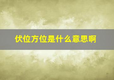 伏位方位是什么意思啊