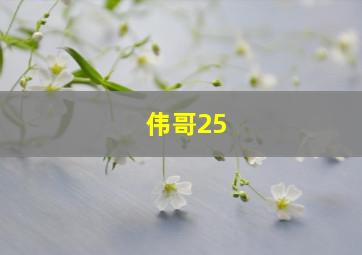 伟哥25