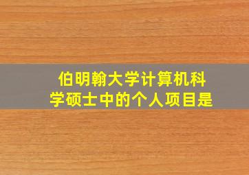 伯明翰大学计算机科学硕士中的个人项目是