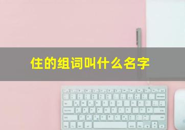 住的组词叫什么名字