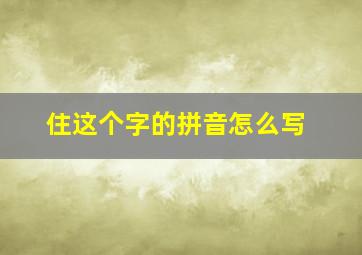 住这个字的拼音怎么写