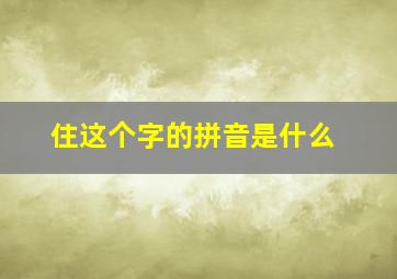 住这个字的拼音是什么