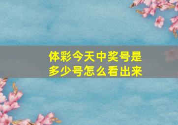 体彩今天中奖号是多少号怎么看出来