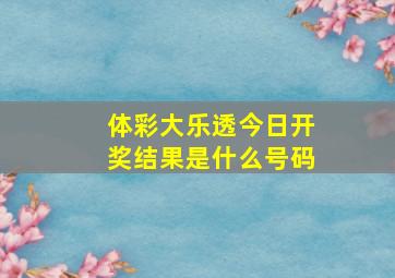 体彩大乐透今日开奖结果是什么号码