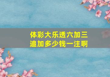 体彩大乐透六加三追加多少钱一注啊