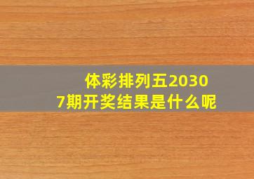 体彩排列五20307期开奖结果是什么呢