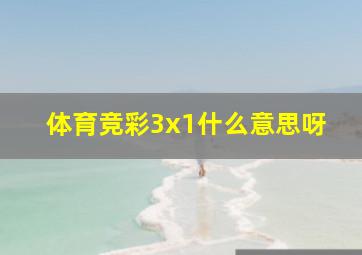 体育竞彩3x1什么意思呀