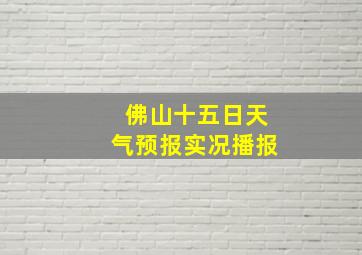 佛山十五日天气预报实况播报