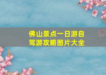 佛山景点一日游自驾游攻略图片大全